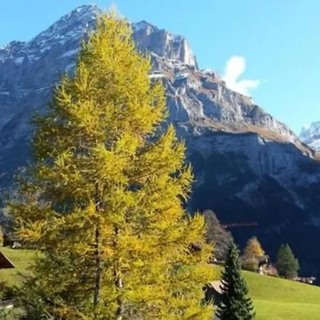 Apartment Chalet Moosrain 45 Zimmer-wohnung, Eigerblick
