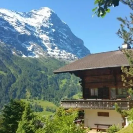 Chalet Moosrain 45 Zimmer-wohnung, Eigerblick Apartment Grindelwald