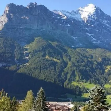 Apartment Chalet Moosrain 45 Zimmer-wohnung, Eigerblick