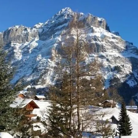 Apartment Chalet Moosrain 45 Zimmer-wohnung, Eigerblick Grindelwald