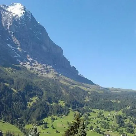 Chalet Moosrain 45 Zimmer-wohnung, Eigerblick Appartement Grindelwald